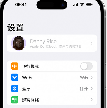 日照appleID维修服务iPhone设置中Apple ID显示为灰色无法使用 