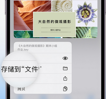 日照apple维修中心分享iPhone文件应用中存储和找到下载文件