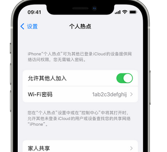 日照apple服务站点分享iPhone上个人热点丢失了怎么办