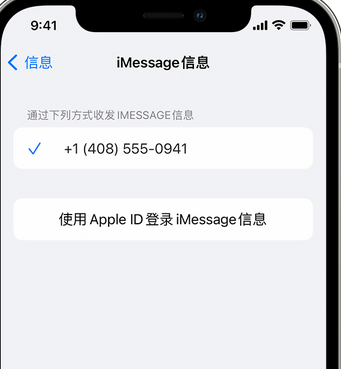 日照apple维修iPhone上无法正常发送iMessage信息