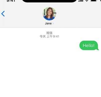 日照apple维修iPhone上无法正常发送iMessage信息