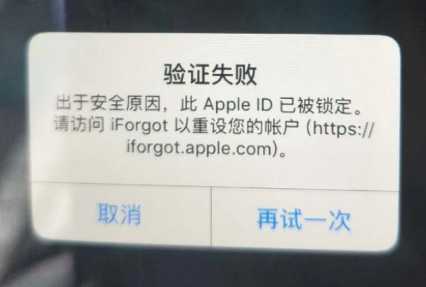 日照iPhone维修分享iPhone上正常登录或使用AppleID怎么办 