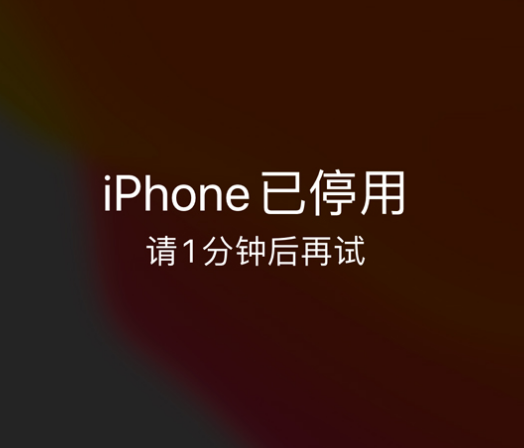 日照苹果手机维修分享:iPhone 显示“不可用”或“已停用”怎么办？还能保留数据吗？ 