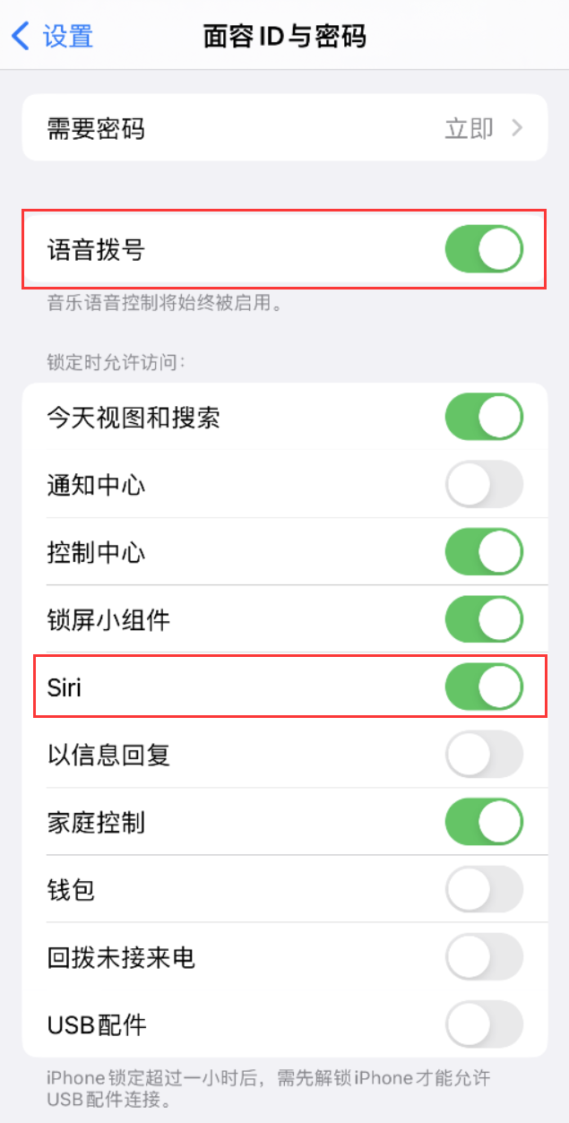 日照苹果维修网点分享不解锁 iPhone 的情况下通过 Siri 拨打电话的方法 