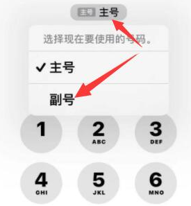 日照苹果14维修店分享iPhone 14 Pro Max使用副卡打电话的方法 