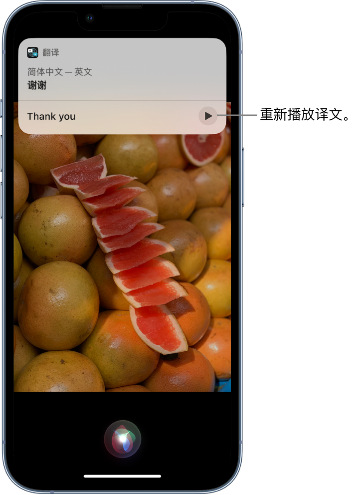 日照苹果14维修分享 iPhone 14 机型中使用 Siri：了解 Siri 能帮你做什么 