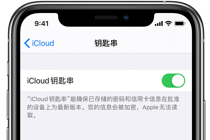 日照苹果手机维修分享在 iPhone 上开启 iCloud 钥匙串之后会储存哪些信息 